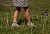36_science_fest_kristyna.jpg